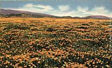 Claude Monet A Field of Californian Poppies painting